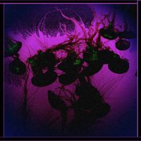 Fishslaughter - Wet Dream Aquatic Nightmare