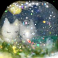 Yoyou - Kitten meow meow