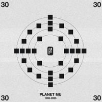 Various Artists - Planet Mu 30