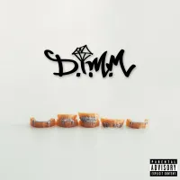 VVS - D.I.M.M.