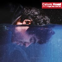 Calum Hood - Don't Forget You Love Me