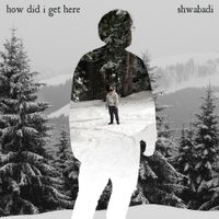 Shwabadi - How Did I Get Here