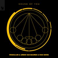 Armin van Buuren - Sound of You