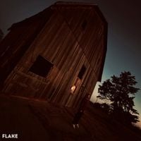 Flake - Black & White