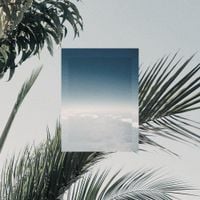 Jinsang - In Flight