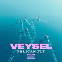 Veysel - PELICAN FLY