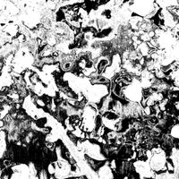 A-Sun Amissa - We Are Not Our Dread