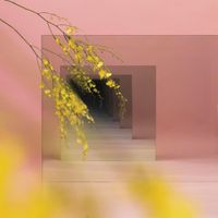 Witxes - Orients