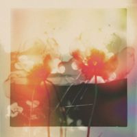 gyrofield - Mother