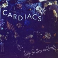 Cardiacs - Songs For Ships And Irons