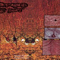 Exposed As Rot - Incubate Delrium / Instigate Delusion