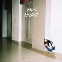 Seal Pillow - Camel Traveling