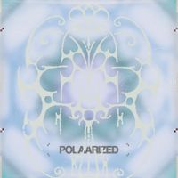 Various Artists - POLAARIZED
