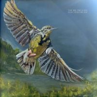 The Wildwoods - Dear Meadowlark