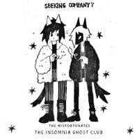 The Misfortunates - SEEKING COMPANY?