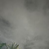 dg000000 - Walk Out (w/ Duff!)