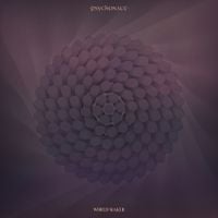 Psychonaut - World Maker