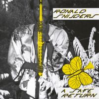 Ronald Snijders - A Safe Return