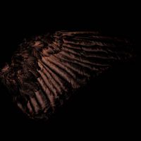 Fryktelig St&oslash;y - Incandescent