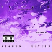 Wu-Tang Clan - Triumph (Slowed + Reverb)