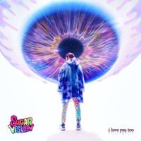 SugarVision - i love you too
