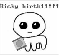Cat Dictionary - Ricky Birth