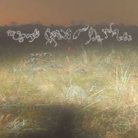 Neue Welt - Sp&aacute;nek ti bude peřinou