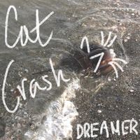 Cat Crash - Dreamer