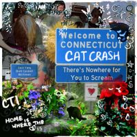 Cat Crash - WELCOME TO CONNECTICUT