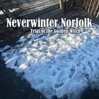 Trial of the Golden Witch - Neverwinter Norfolk