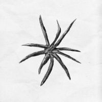 Kolibri - R&uacute;n&aacute;k