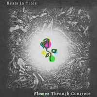 Bears In Trees - Flower Through Concrete