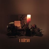 apl.de.ap - I Wish