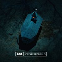 K.I.Z - Ich ficke euch (alle)