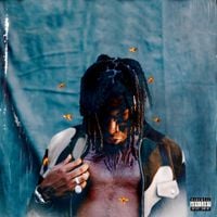 Warhol.SS - Chest Pains