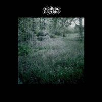 Welkin Descent - Rapture in the Fields of Gray