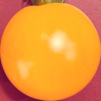 pomodorosa - faux fruit