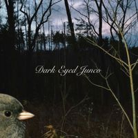 Snowbirds - dark eyed junco