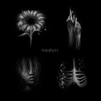 Paul Tihan - NODURI