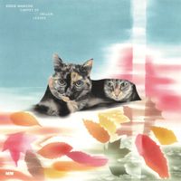 ゑでぃまぁこん [Eddie Marcon] - Carpet of Fallen Leaves