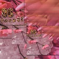ICYTWAT - 06 ELEGANCE