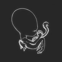 The Illusory Explainer - Lifelong Suicidal Thoughts (Extended Cuts) [Live]