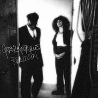 GRENZKONTROLLE - REVOLUTION