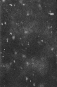 Paysage d'Hiver - Einsamkeit