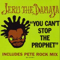 Jeru the Damaja - You Can&rsquo;t Stop the Prophet