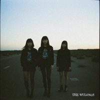 the Wulongs - Videodrome