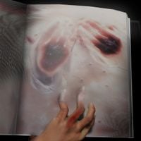Anysia Kym - Clandestine