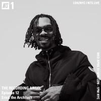 The Avalanches - The Recording Angel on NTS: Episode 12 - The Avalanches x Erick The Architect