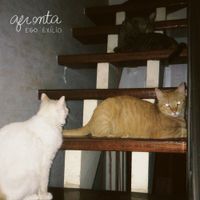 ego ex&iacute;lio - afronta