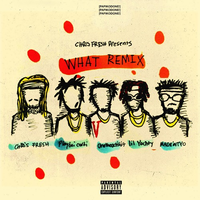 Chris Fresh - WHAT (REMIX)